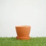 Orange Round Egg Shape Ceramic Pot with Tray