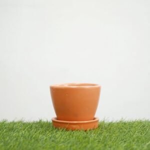 Orange Round Egg Shape Ceramic Pot with Tray