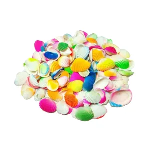 Multicolor Sea Shells (1kg)