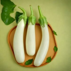 BRINJAL WHITE LONG HYBRID SEEDS (40 seeds)