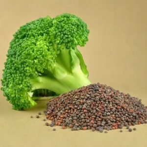 BROCCOLI HYBRID SEEDS (30 seeds)