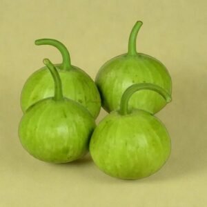 BOTTLE GOURD- LOUKI (ROUND) HYBRID SEEDS (15 seeds)