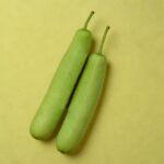 BOTTLE GOURD- LAUKI ( LONG) HYBRID SEEDS (15 seeds)