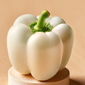 CAPSICUM (WHITE) HYBRID SEEDS (20 seeds)