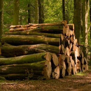 Commercial & Forestry Plants