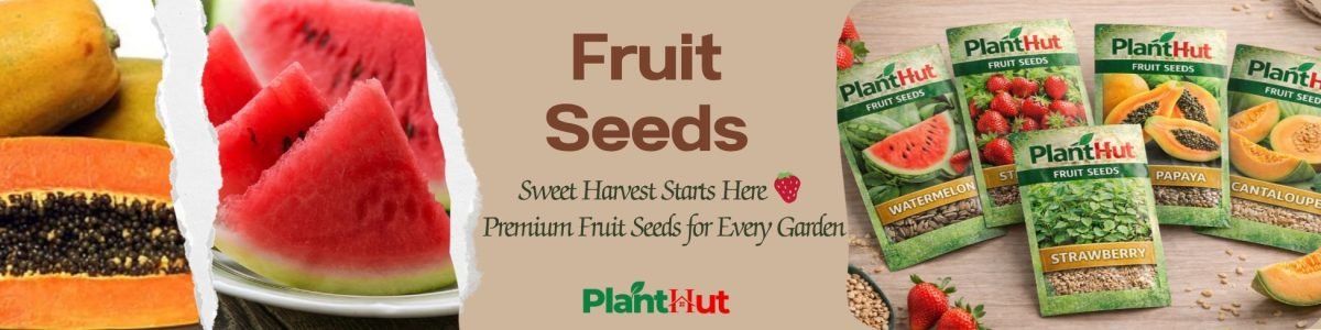 Fresh Fruits at Your Home 🍊 Premium Fruit Plants for Every Garden (19)