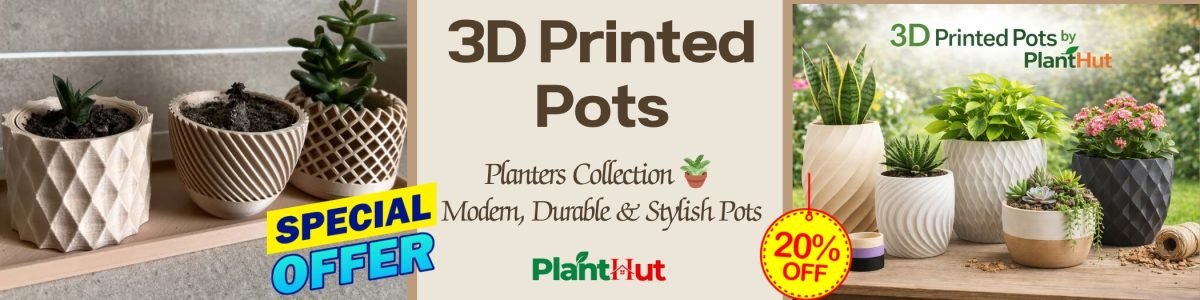 Fresh Fruits at Your Home 🍊 Premium Fruit Plants for Every Garden (23)