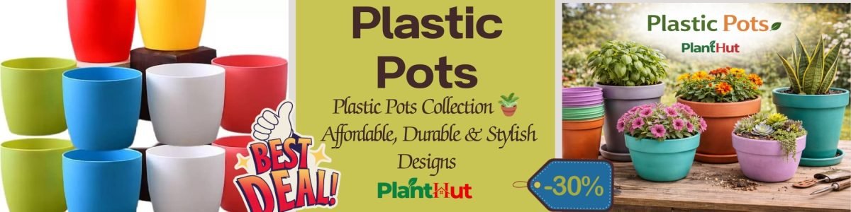 Fresh Fruits at Your Home 🍊 Premium Fruit Plants for Every Garden (29)