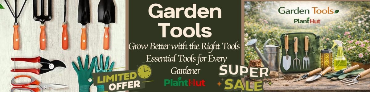 Fresh Fruits at Your Home 🍊 Premium Fruit Plants for Every Garden (34)