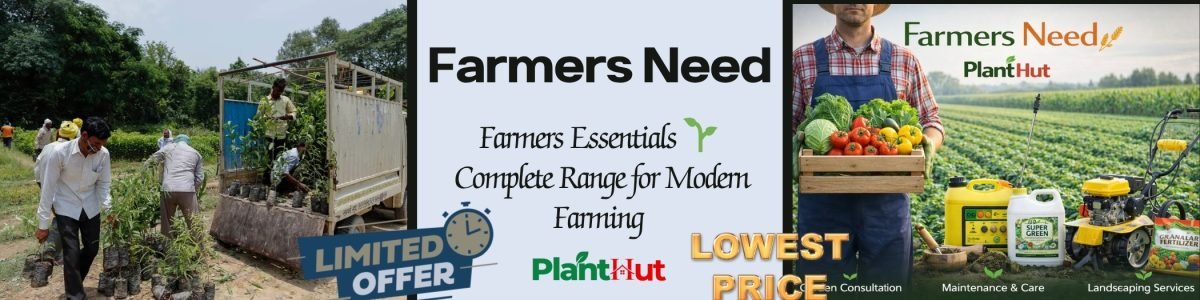 Fresh Fruits at Your Home 🍊 Premium Fruit Plants for Every Garden (41)