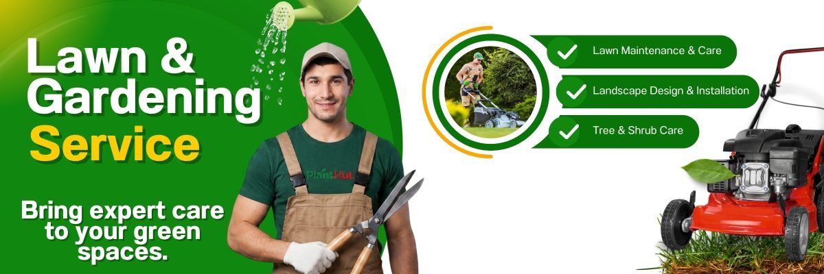 Fresh Fruits at Your Home 🍊 Premium Fruit Plants for Every Garden (44)