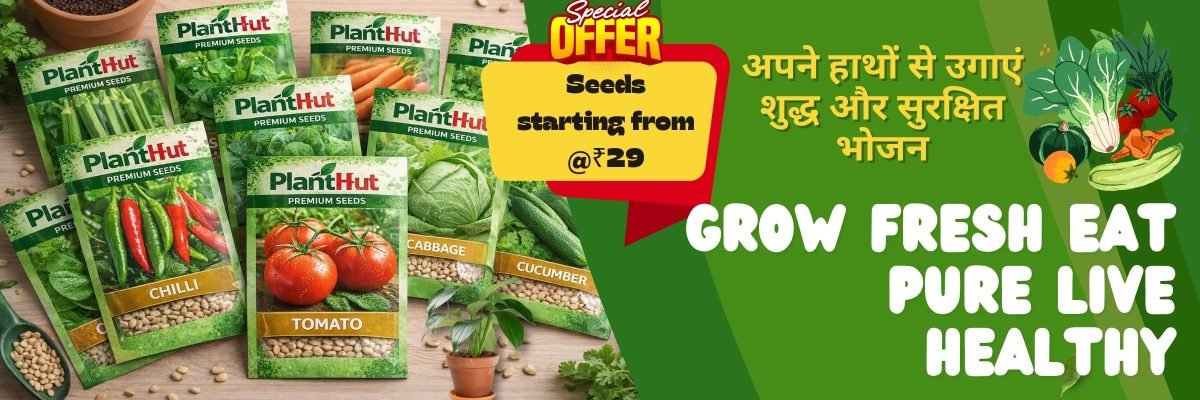 Fresh Fruits at Your Home 🍊 Premium Fruit Plants for Every Garden (52)